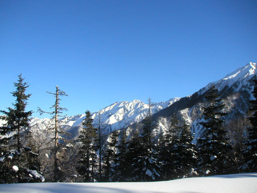 ����̑��A�䍂